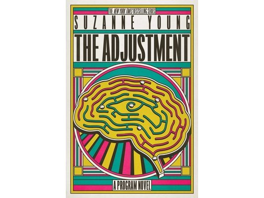 The Adjustment: A Program Novel