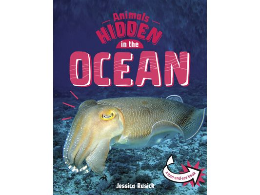 Animals Hidden in the Ocean