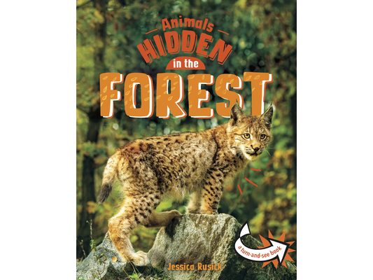 Animals Hidden in the Forest