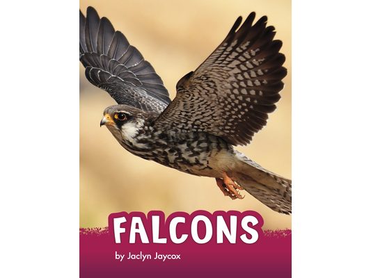 Falcons