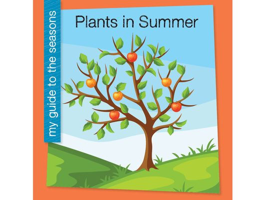 Plants in Summer