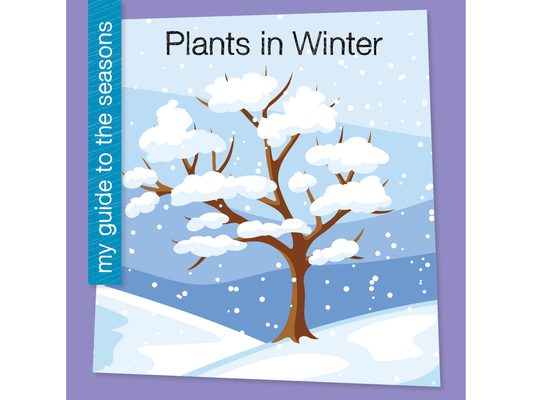 Plants in Winter