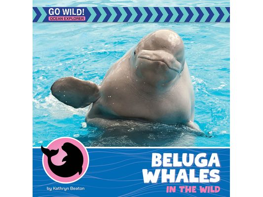 Beluga Whales in the Wild