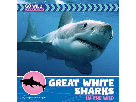 Great White Sharks in the Wild