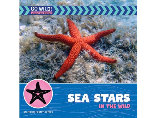 Sea Stars in the Wild