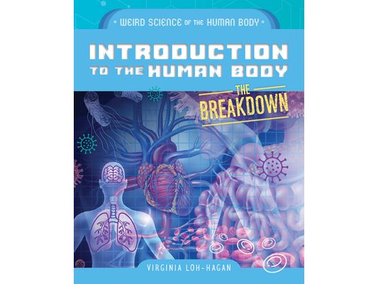 Introduction to the Human Body