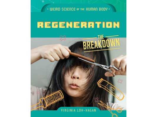 Regeneration