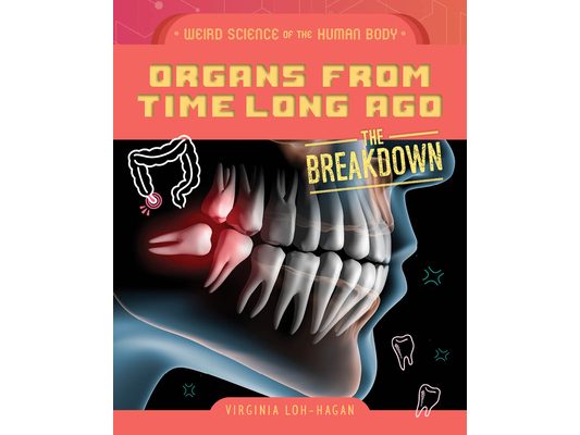 Organs from Time Long Ago
