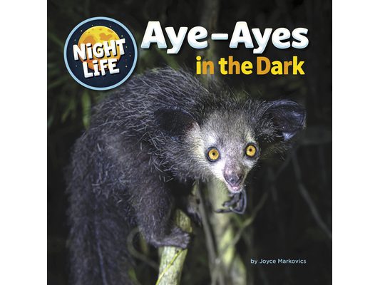 Aye-Ayes in the Dark
