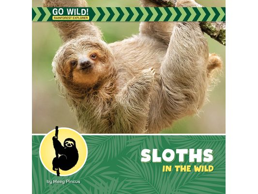Sloths in the Wild