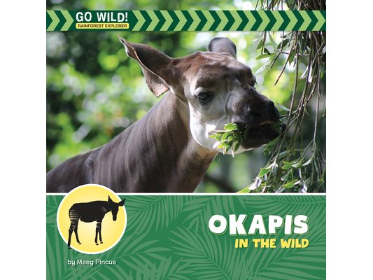 Okapis in the Wild