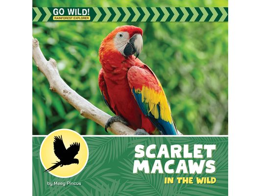 Scarlet Macaws in the Wild