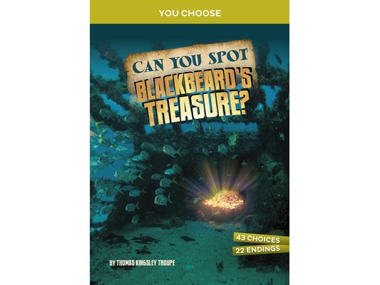 Can You Spot Blackbeard's Treasure?: An Interactive Treasure Adventure