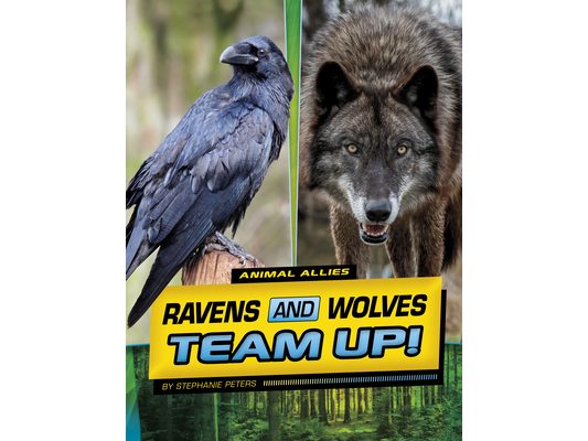 Ravens and Wolves Team Up!
