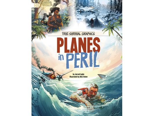 Planes in Peril