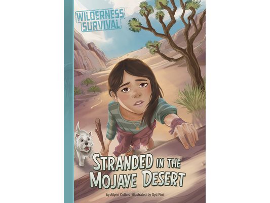Stranded in the Mojave Desert