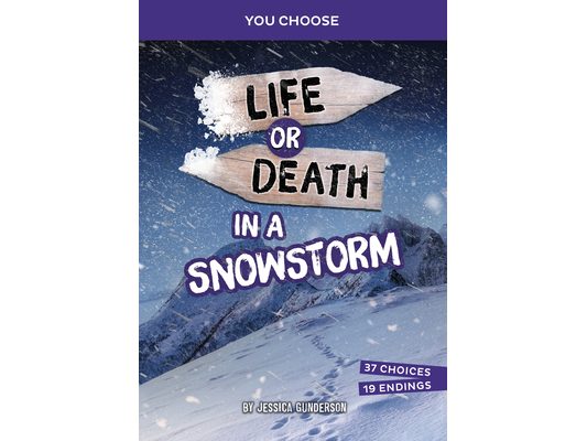 Life or Death in a Snowstorm: An Interactive Survival Adventure