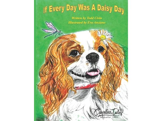 If Every Day Was a Daisy Day