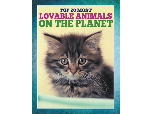 Top 20 Most Lovable Animals On The Planet