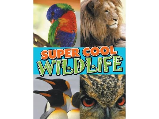 Super Cool Wildlife
