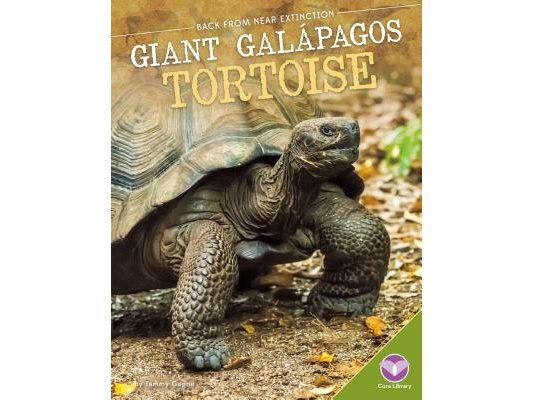 Giant Galбpagos Tortoise
