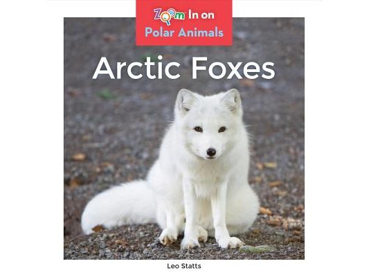 Arctic Foxes