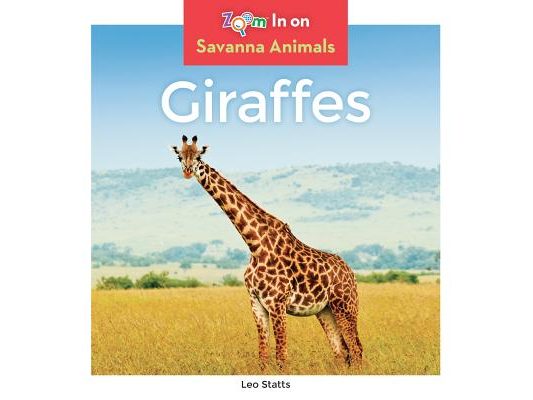 Giraffes