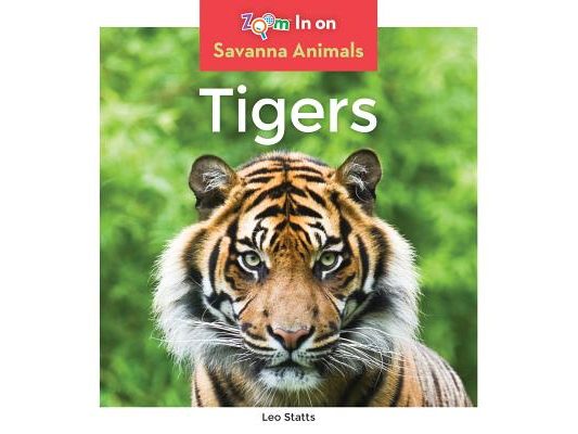 Tigers