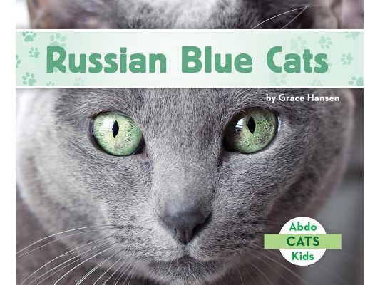 Russian Blue Cats