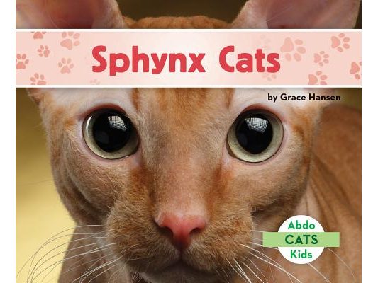 Sphynx Cats