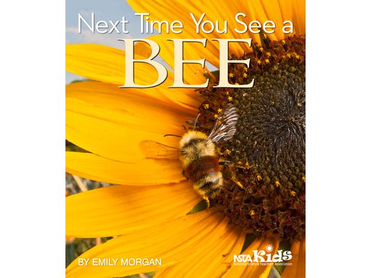Next Time You See a Bee