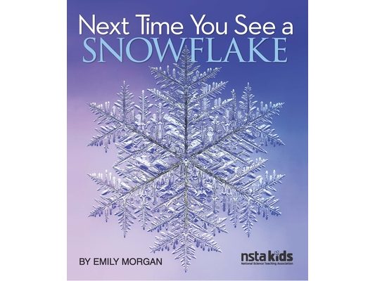 Next Time You See a Snowflake
