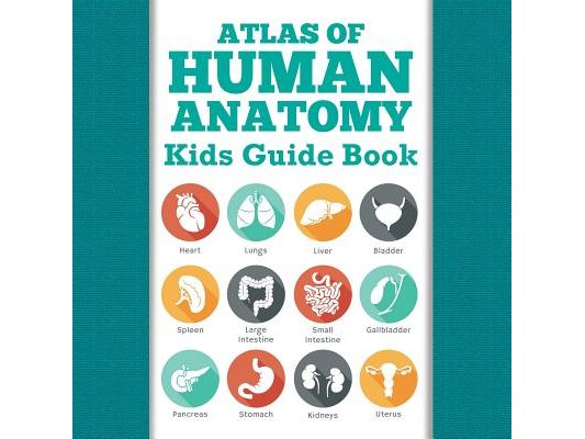 Atlas Of Human Anatomy: Kids Guide Book