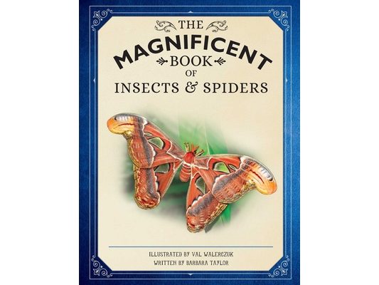 The Magnificent Book of Insects and Spiders