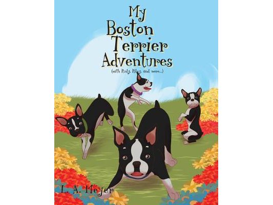 My Boston Terrier Adventures (with Rudy, Riley and more...)