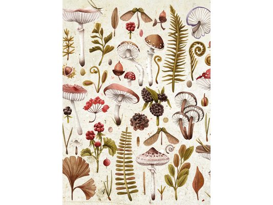 Mushrooms 1000-Piece Puzzle