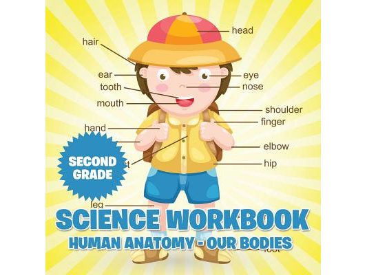 Second Grade Science Workbook: Human Anatomy - Our Bodies