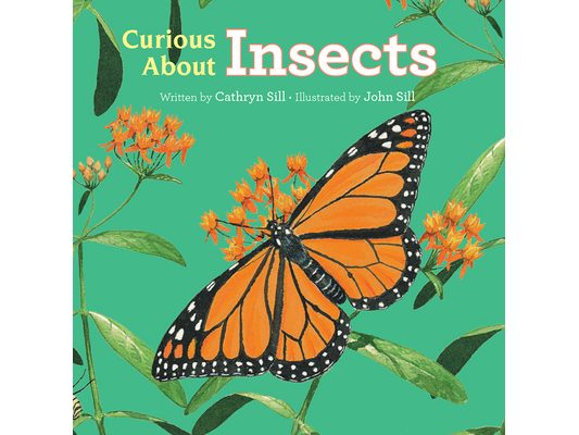 Curious about Insects