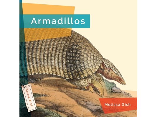 Armadillos
