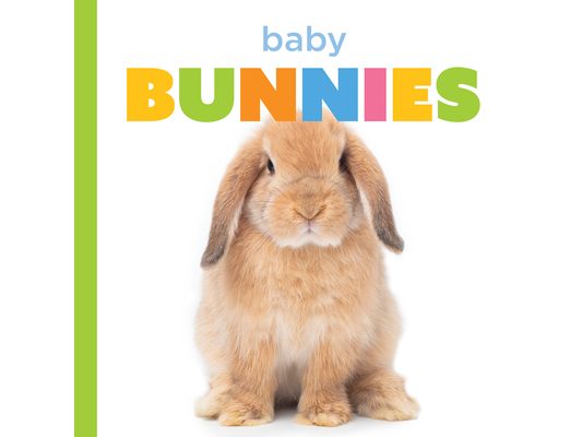 Baby Bunnies