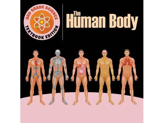 3rd Grade Science The Human Body Textbook Edition