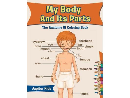 My Body And Its Parts: The Anatomy Of Coloring Book