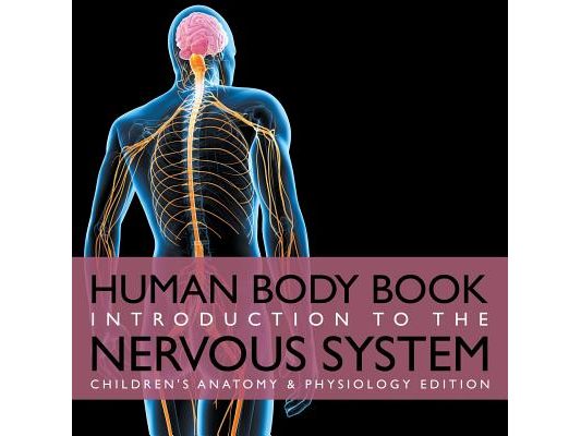 Human Body Book Introduction to the Nervous System Children's Anatomy & Physiology Edition