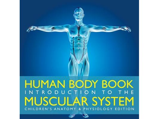 Human Body Book Introduction to the Muscular System Children's Anatomy & Physiology Edition