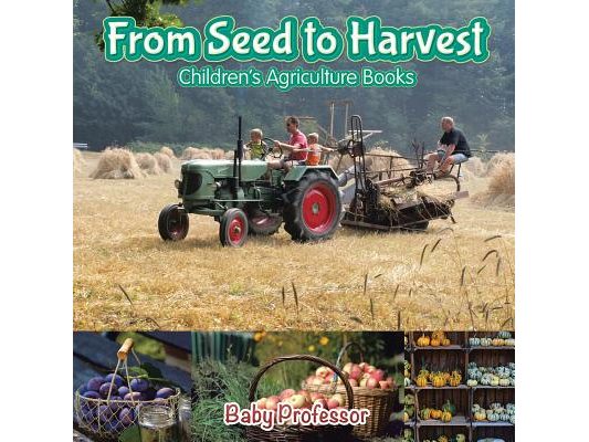 From Seed to Harvest - Children's Agriculture Books