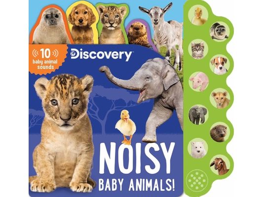 Discovery: Noisy Baby Animals!