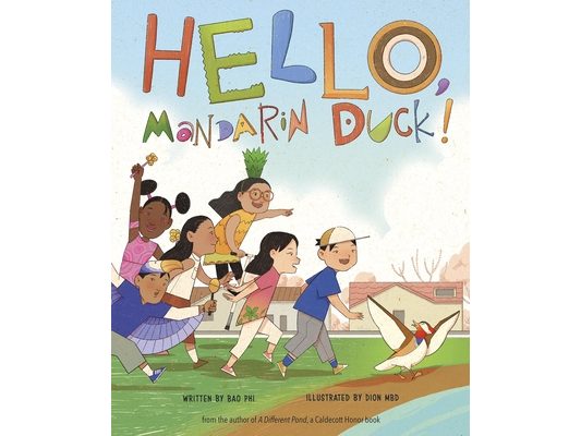 Hello, Mandarin Duck!