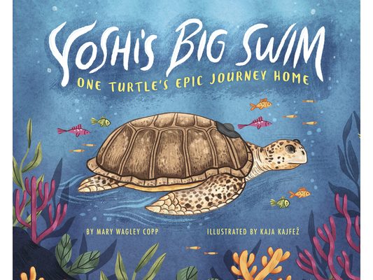 Yoshi's Big Swim: One Turtle's Epic Journey Home