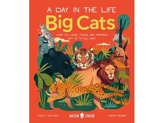 Big Cats (a Day in the Life): What Do Lions, Tigers, and Panthers Get Up to All Day?