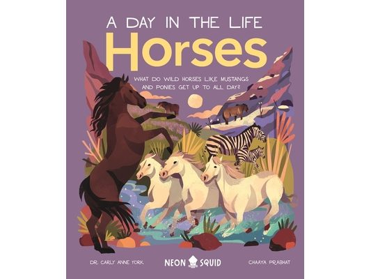 Horses (a Day in the Life): What Do Wild Horses Like Mustangs and Ponies Get Up to All Day?
